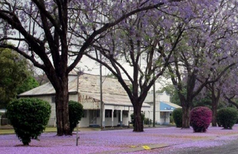 Helidon Mineral spa Resort
