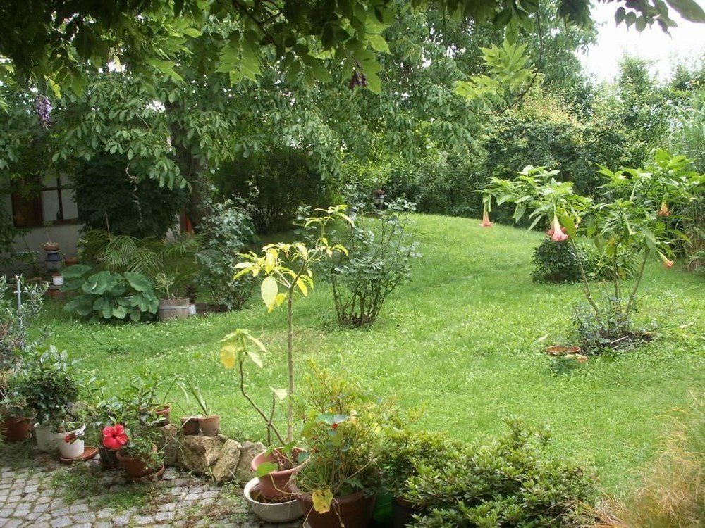 Outdoor Pictures 21