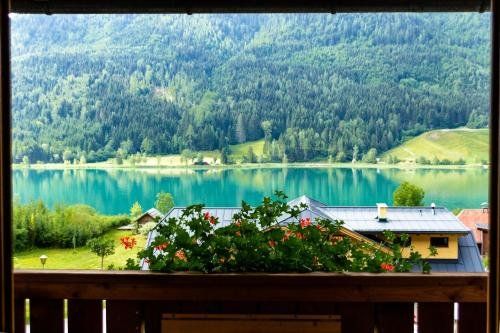 Outdoor Pictures 14