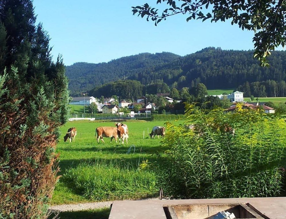 Outdoor Pictures 20