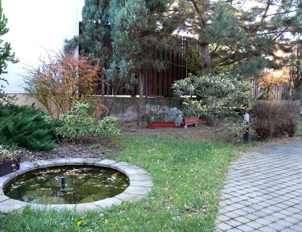Outdoor Pictures 10