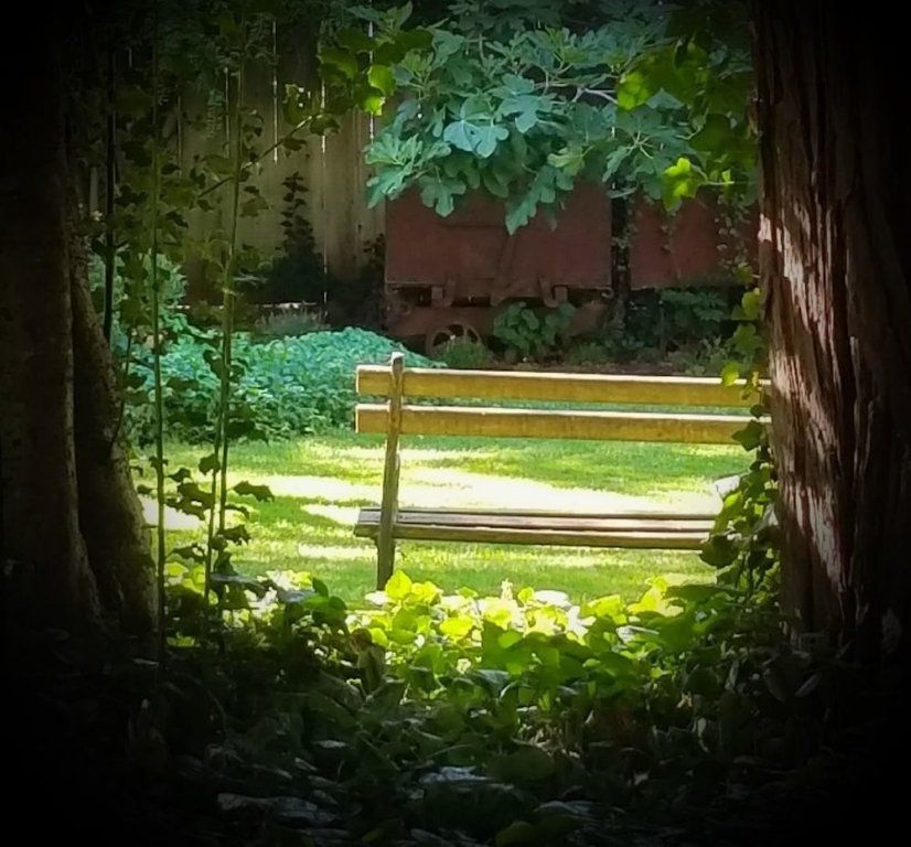Outdoor Pictures 13
