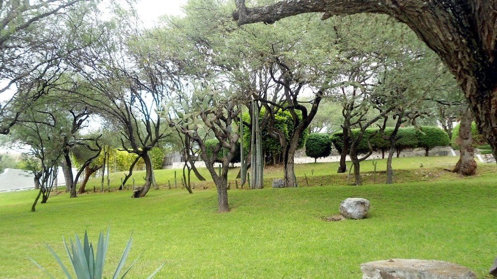 Outdoor Pictures 13