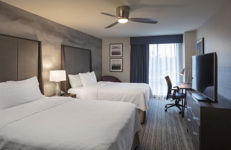 Homewood Suites by Hilton Needham Boston