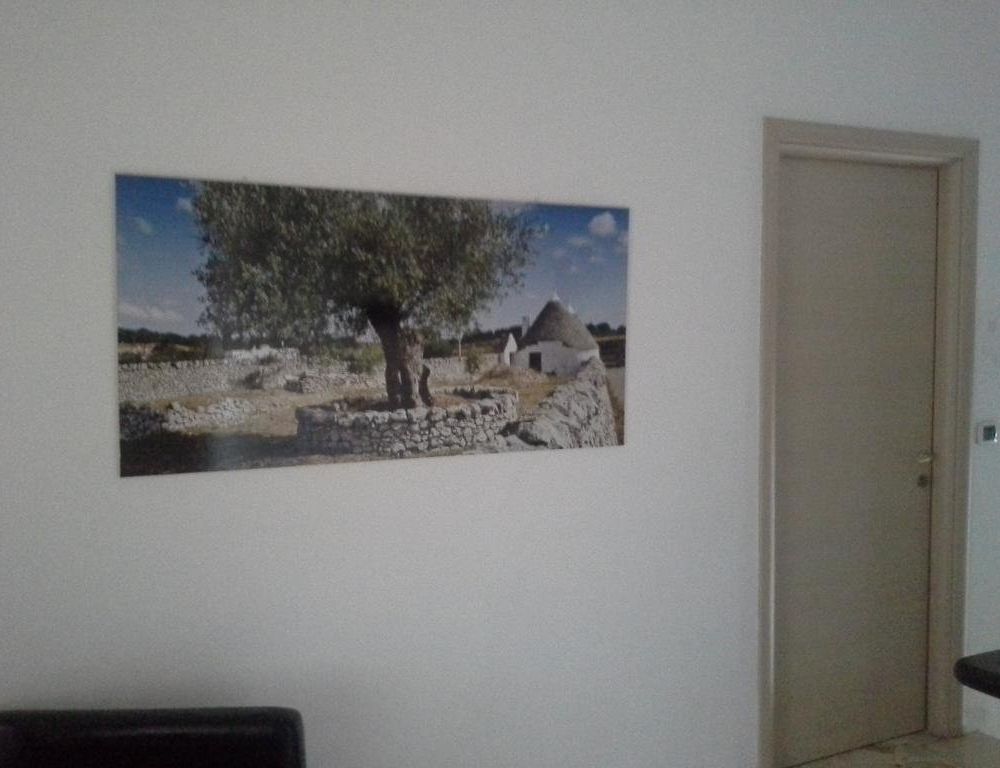 Outdoor Pictures 8