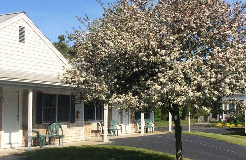 The Chatham Motel