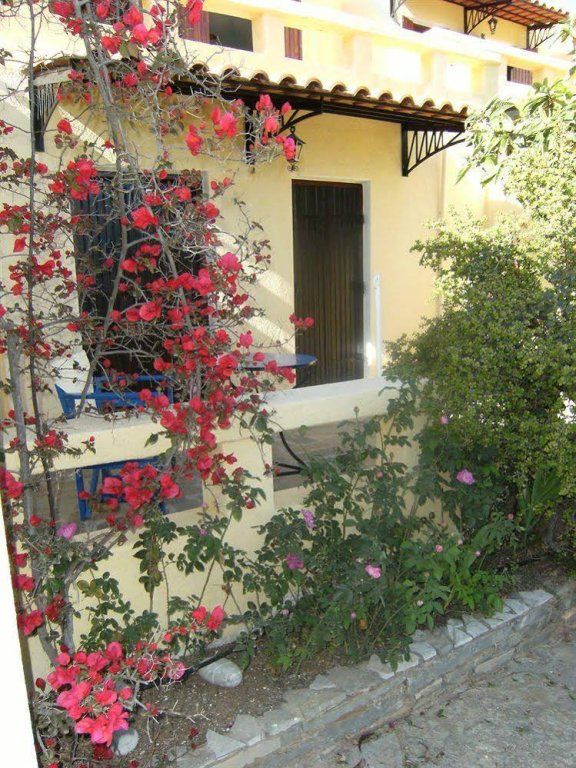 Outdoor Pictures 24