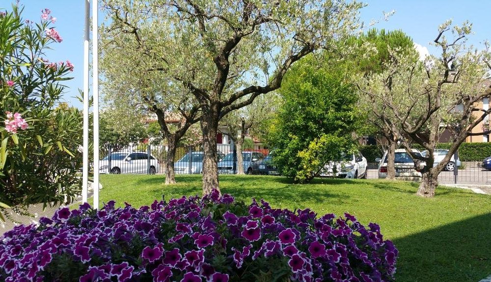 Outdoor Pictures 18