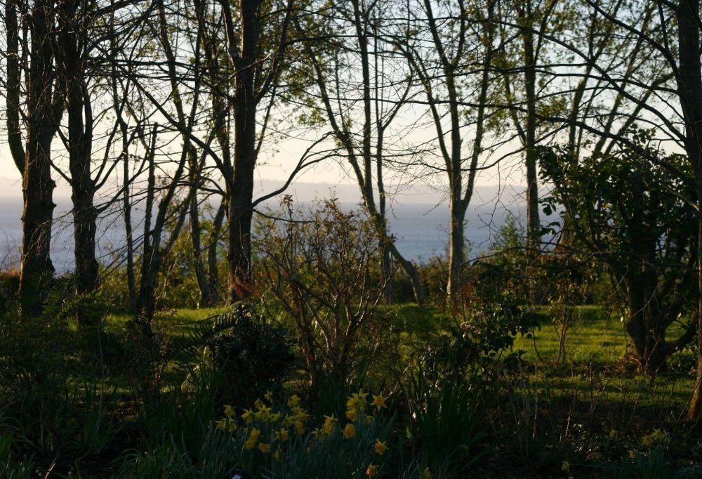 Outdoor Pictures 19