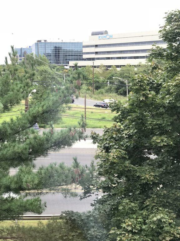 Outdoor Pictures 22