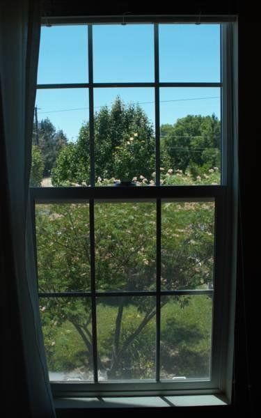 Outdoor Pictures 15