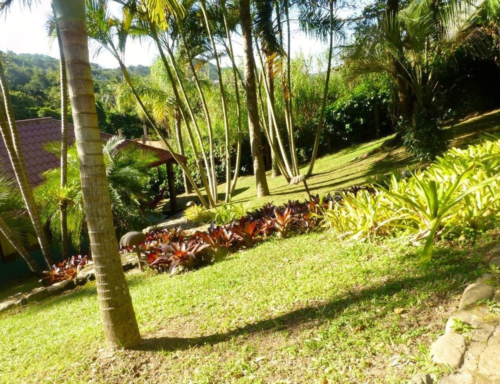 Outdoor Pictures 19