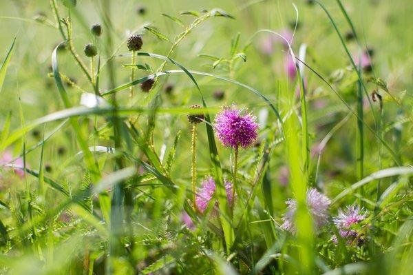 Outdoor Pictures 22