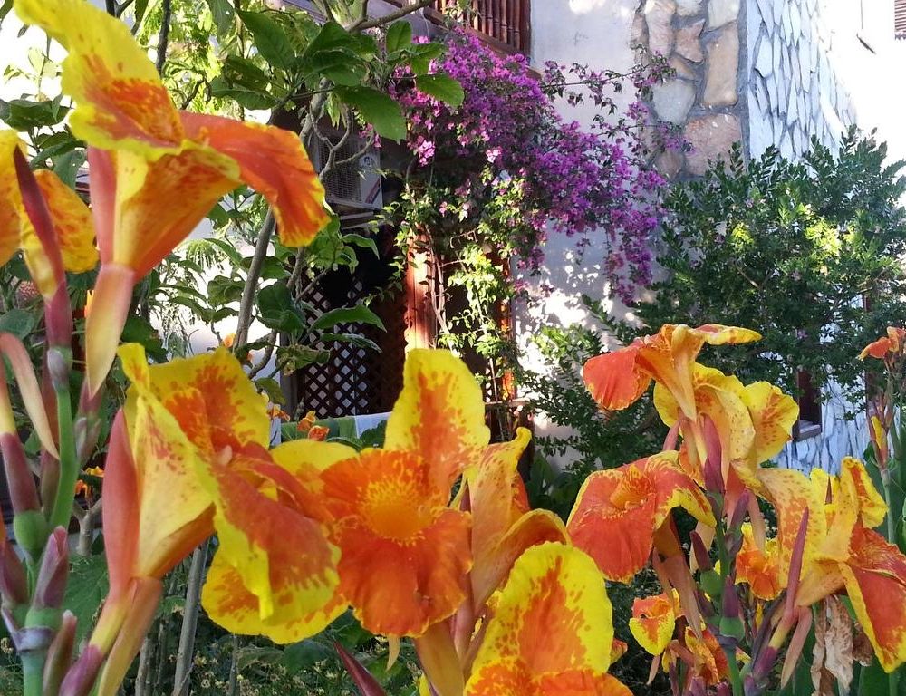 Outdoor Pictures 15