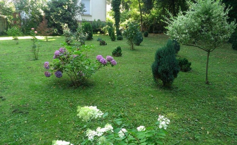 Outdoor Pictures 21