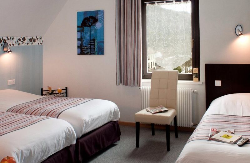 Logis Hotel Des Vosges