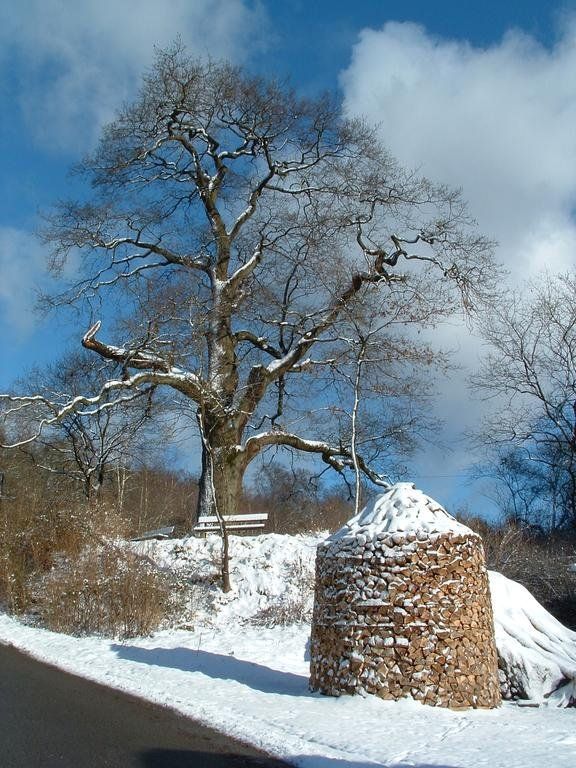 Outdoor Pictures 19