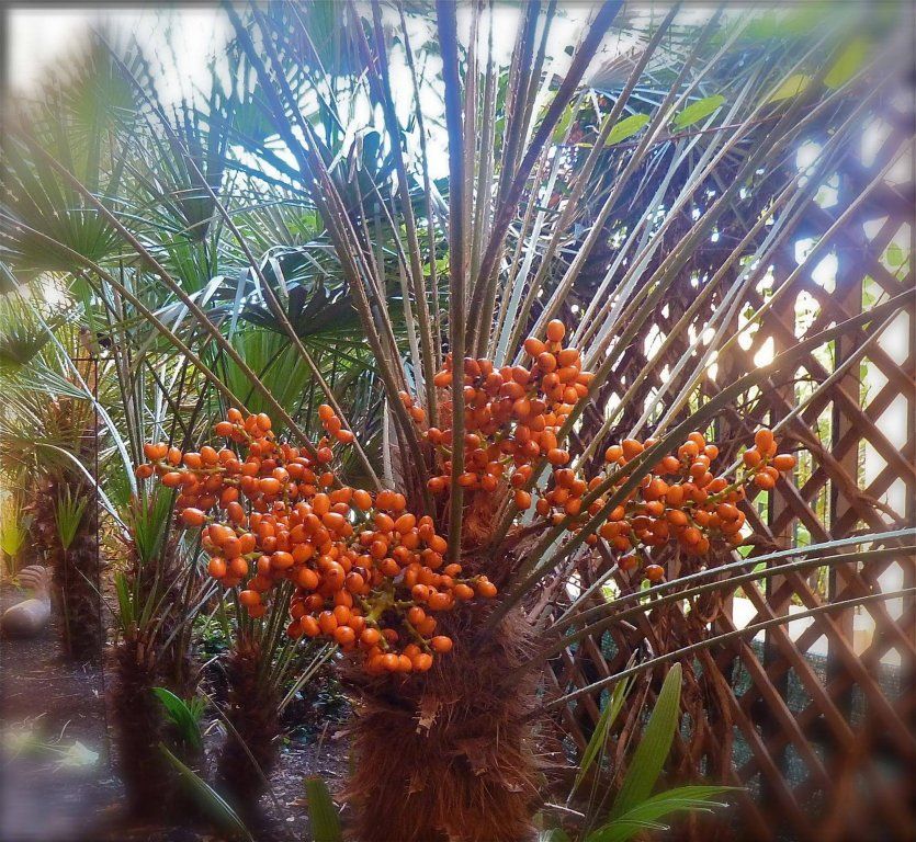 Outdoor Pictures 23