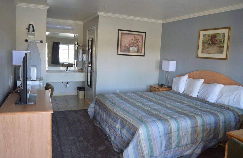 Budget Inn