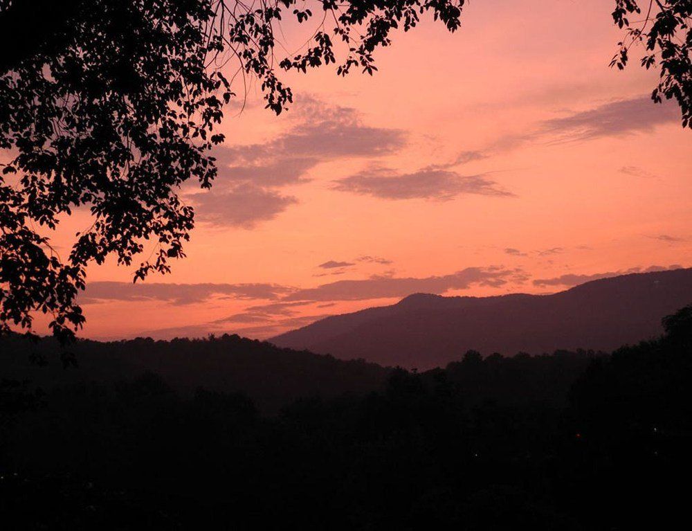Outdoor Pictures 19