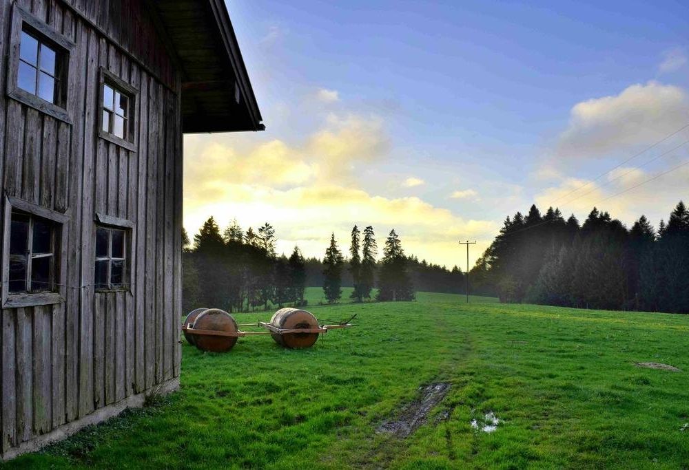 Outdoor Pictures 21