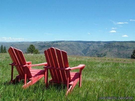 Outdoor Pictures 8