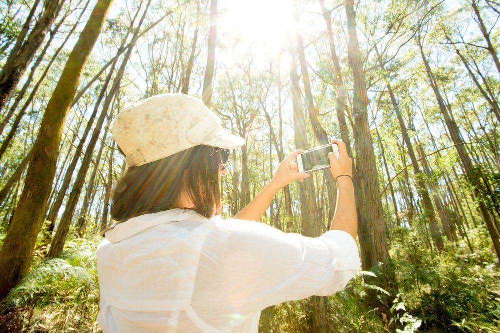 Outdoor Pictures 21
