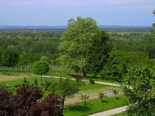 Outdoor Pictures 15