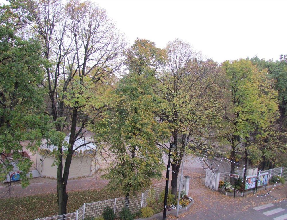 Outdoor Pictures 24