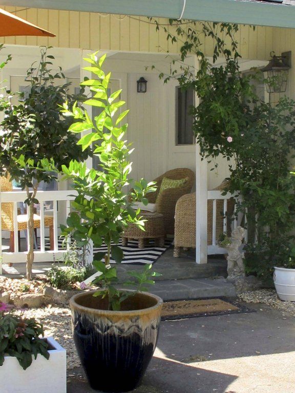 Outdoor Pictures 9