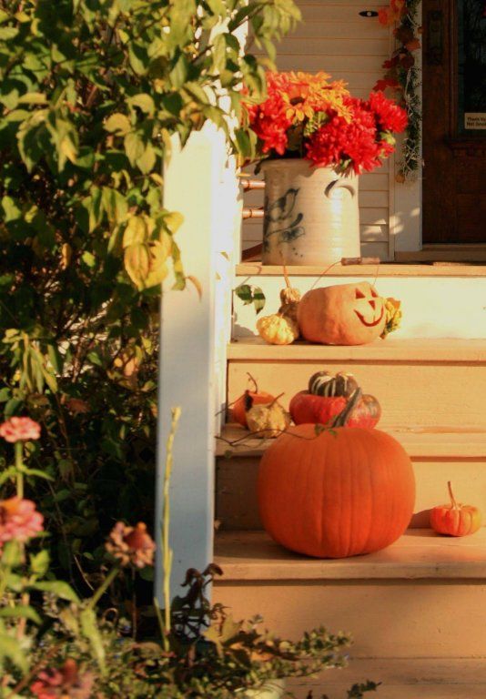 Outdoor Pictures 15