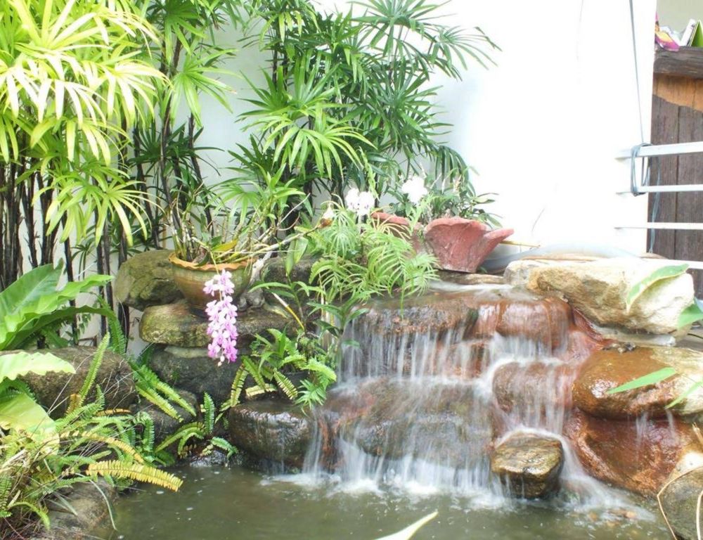 Outdoor Pictures 19