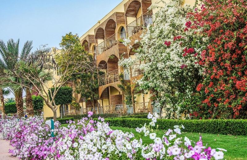 Desert Rose Resort
