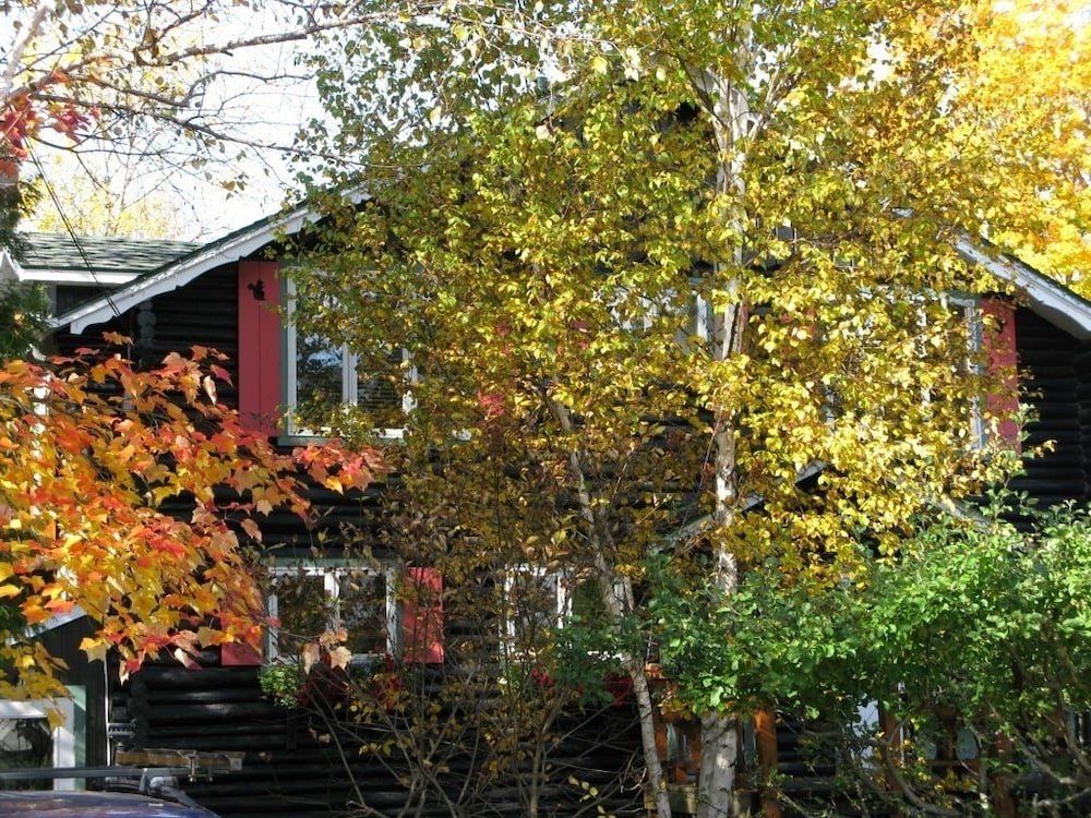 Outdoor Pictures 1
