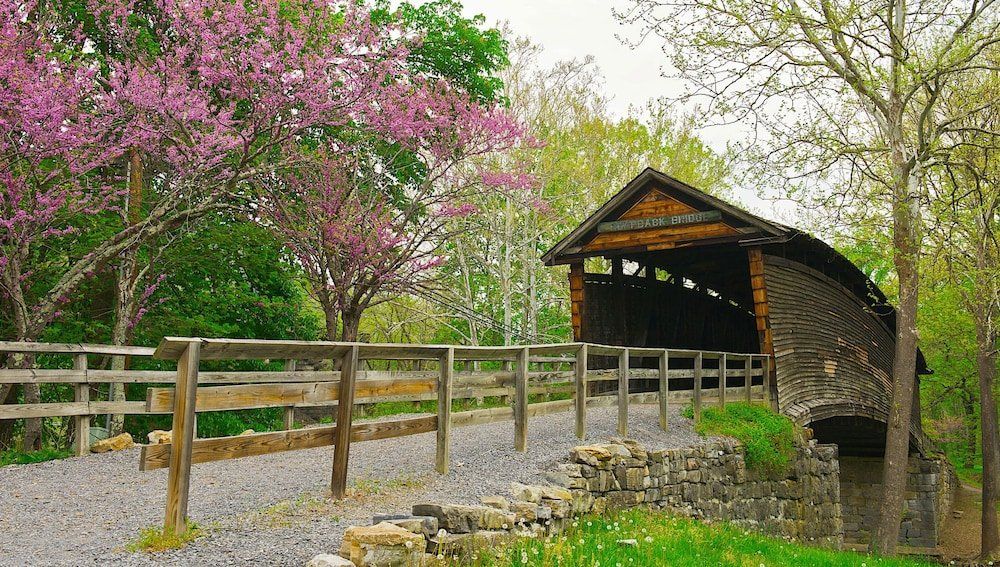 Outdoor Pictures 20