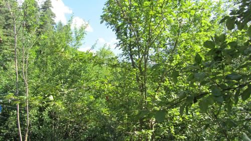 Outdoor Pictures 22