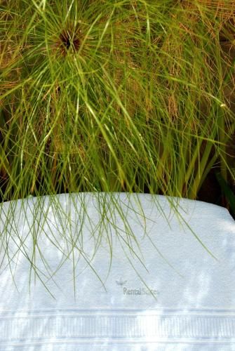 Outdoor Pictures 20