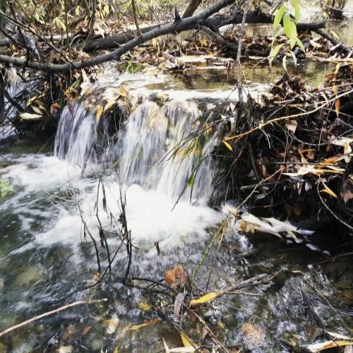 Outdoor Pictures 21
