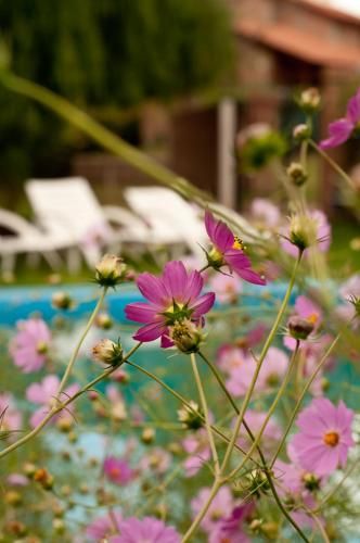 Outdoor Pictures 15