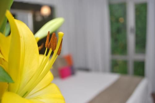 Outdoor Pictures 8