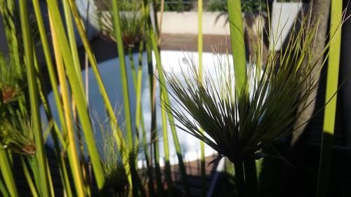 Outdoor Pictures 23