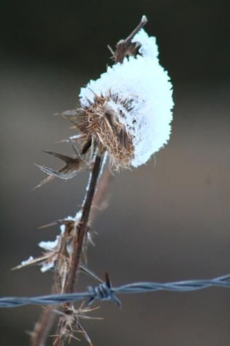 Outdoor Pictures 19