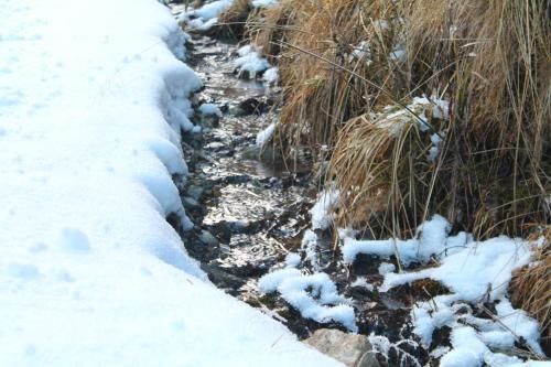 Outdoor Pictures 20