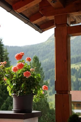 Outdoor Pictures 17