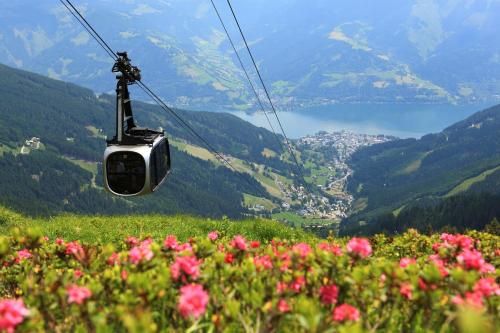 Outdoor Pictures 24