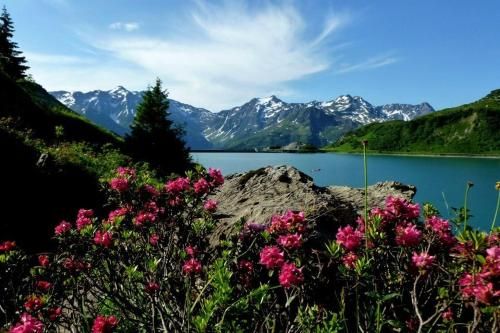 Outdoor Pictures 20