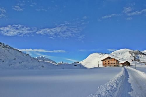 Outdoor Pictures 22