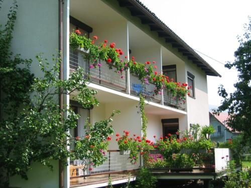 Outdoor Pictures 1