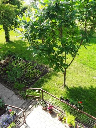 Outdoor Pictures 5