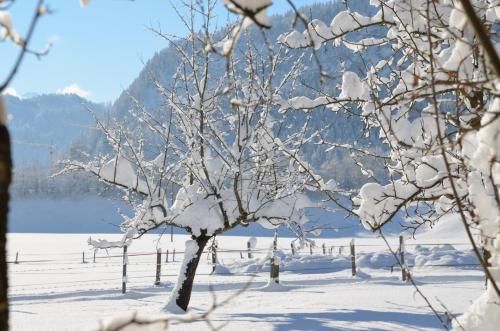 Outdoor Pictures 21